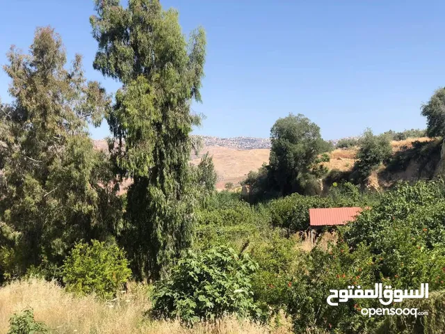 Farm Land for Sale in Amman Al Bayader