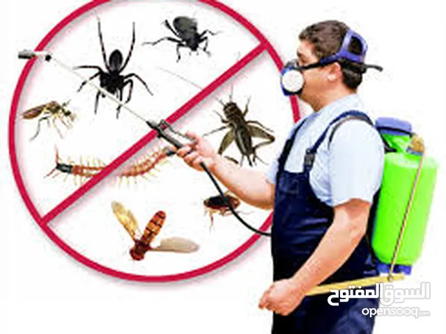 مكافحه الحشرات بجميع انواعها صراصير فئران كتن عناكب وغيرها