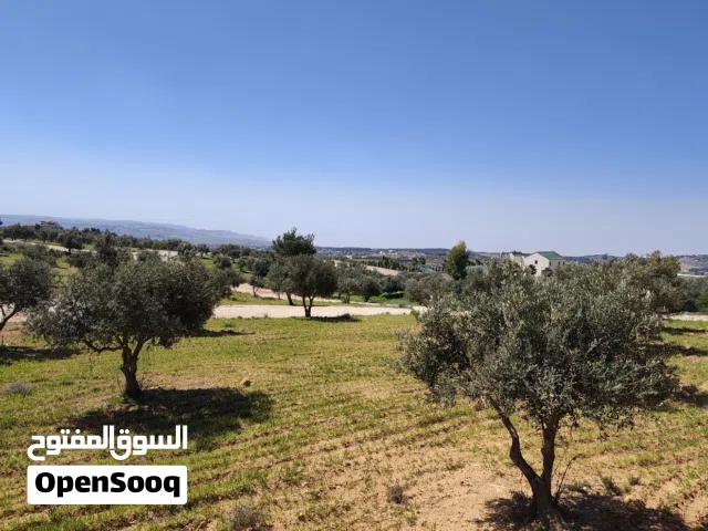 أرض للبيع في اسكان الصيادله بجانب قريه الصنوبر مباشرة في حوض ابو الغزلان- قريه العال والروضه- ناعور