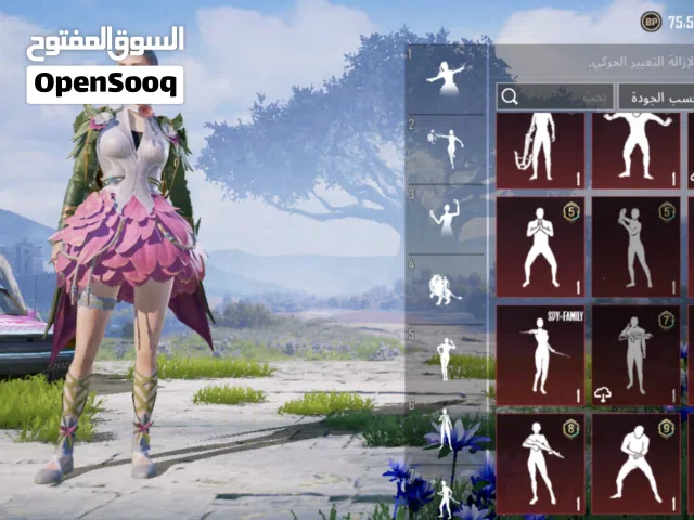 Pubg Accounts and Characters for Sale in Tripoli