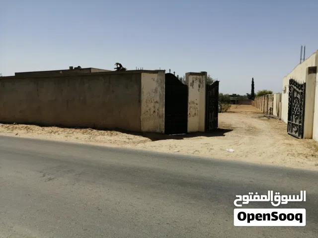 نص هكتار بطريق المطار ( كوبري الفورسيه) موقع ممتاز و ملكيه مقدسه ( شهاده عقاريه) للبيع