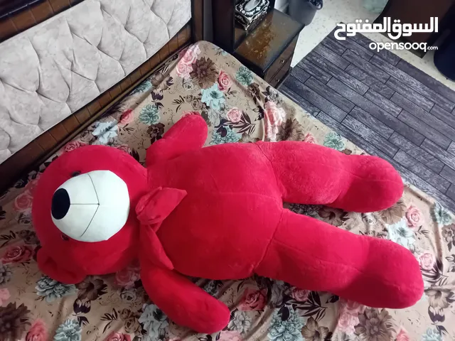 دب اكبر  حجم اكبر حجم بسوق احمر بعدو جديد