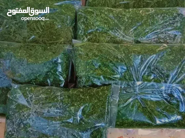 ملوخيه مفرزه وجاهزه للطبيخ