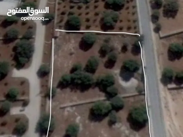 ارض في جلعد 4 دونم على شارعين