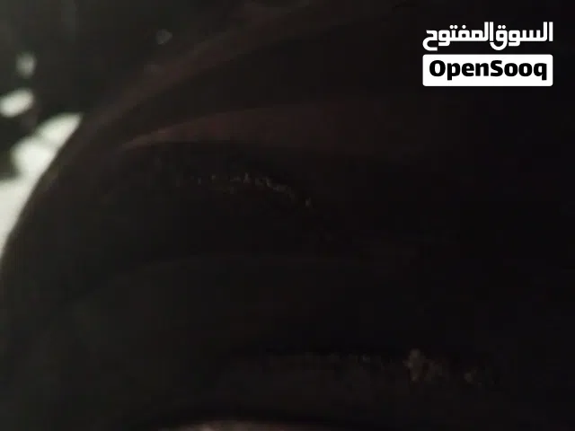 2017 فورد فيوجن SE