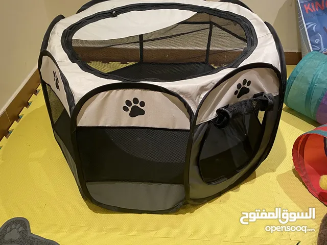 اغراض قطط بكامل ملحقاتها