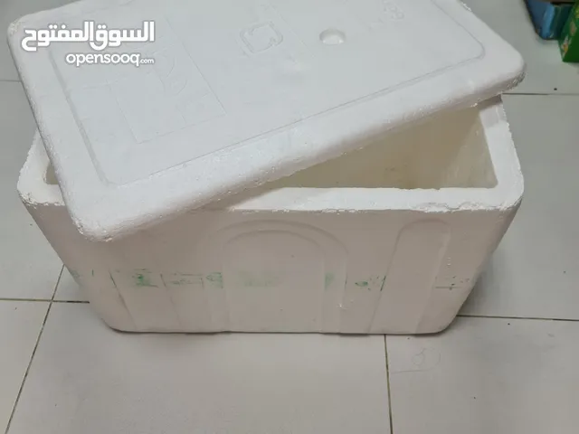 styrofoam box