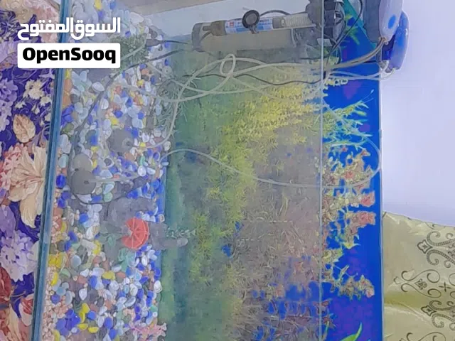 حوض سمك قليل الاستعمال