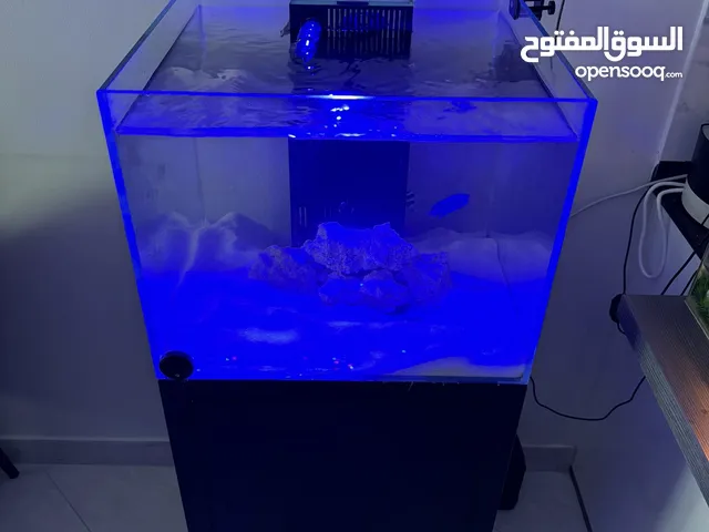 Almost new aquarium