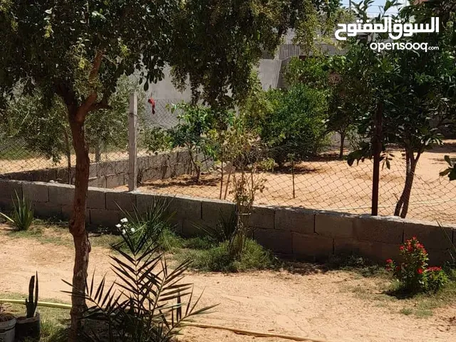 استراحة للبيع في عين زارة خلف مدرسة جابر بن حيان والشيل الجديد ومستودع الغاز مساحتها 495m مسقوف 80m