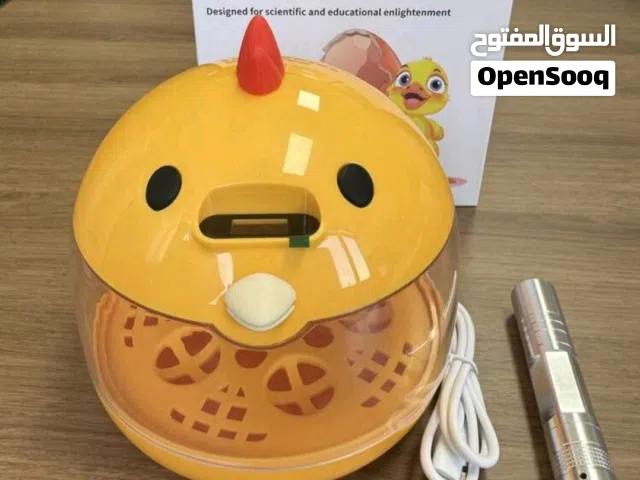 فقاسة بيض صغيرة الحجم – فرصة تبدأ مشروعك بإيدك!  إذا بدك مشروع بسيط ومربح من البيت، هاي الفرصة