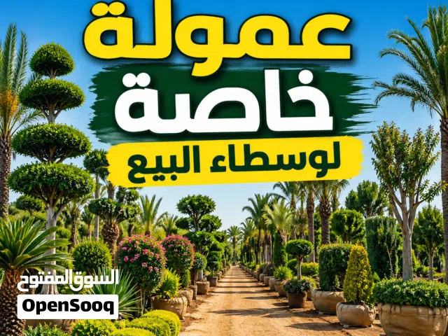 توريد جميع انواع الأشجار و المزروعات و خدمات الاندسكيب