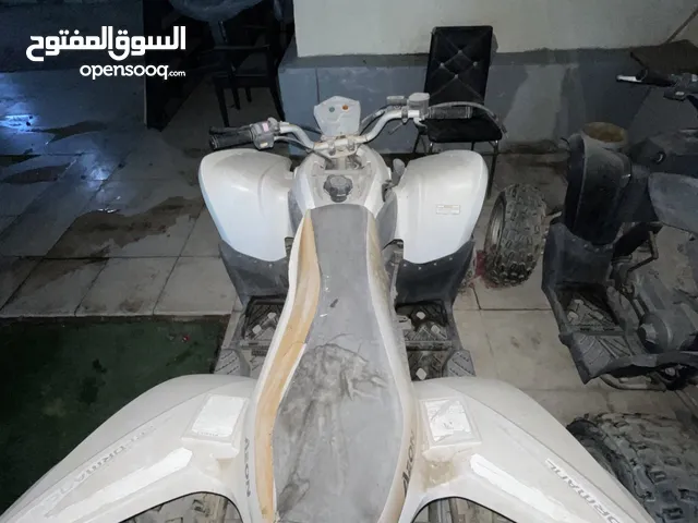 النوع أيون