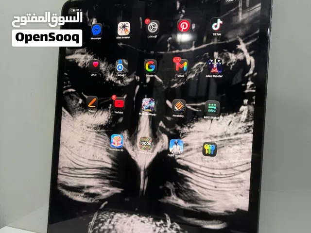 Apple iPad 256 GB in Basra