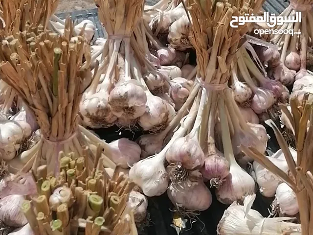ثوم عماني للبيع الكيلو 