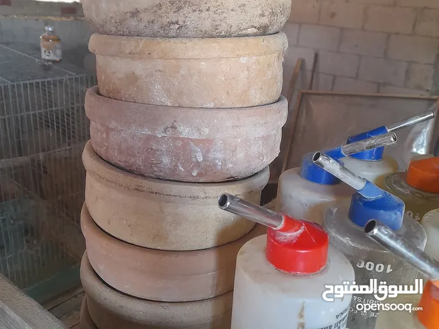 مشارب ارانب مستعملة وفخارات ارانب