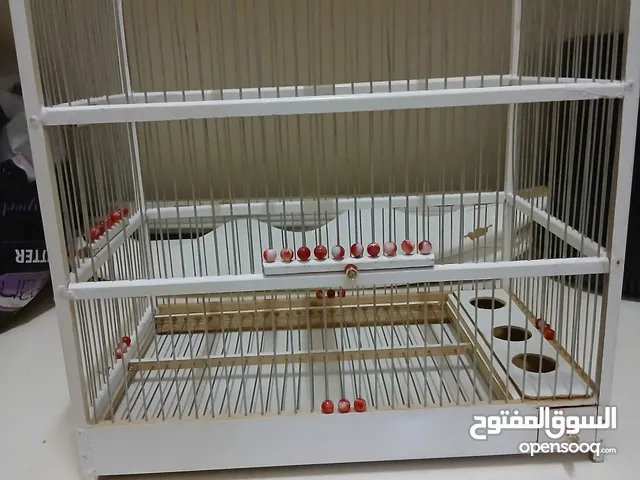 قفص كناري تفصيل يدوي