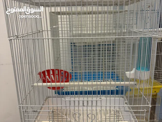 للبيع عدد 8 أقفاص صغار