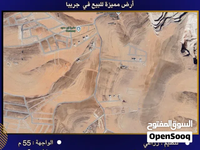 Farm Land for Sale in Zarqa Graiba