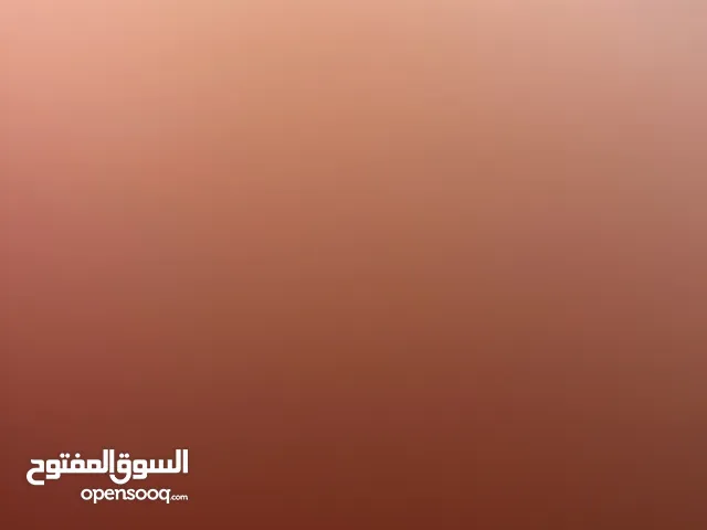 شقة سكنية جنين حي البساتين شقة طابق 2