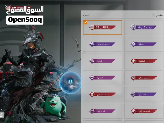 Pubg Accounts and Characters for Sale in Ramallah and Al-Bireh