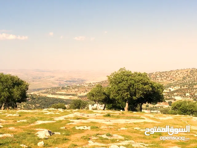 Farm Land for Sale in Amman Tla' Ali