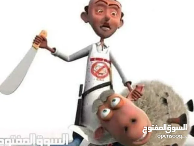 جزار متفرغ لذبح جميع أنواع الأضاحي