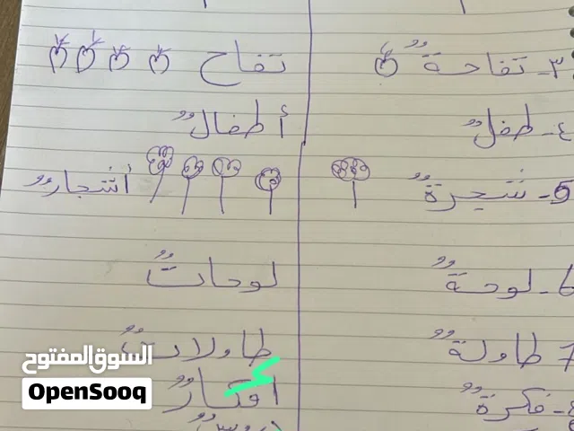معلم خصوصي لجميع المواد التعليميه انجلش.  عربي اجتماعيات  اسلاميه