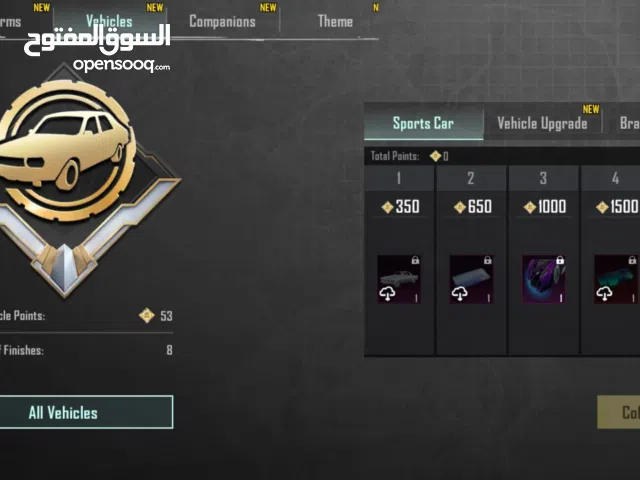 Pubg Accounts and Characters for Sale in Jenin