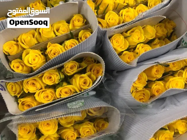 الورد الطبيعي والياسمين للمناسبات