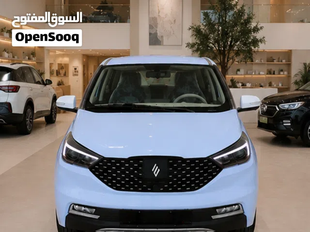 2026 جاي ام اي في EV3