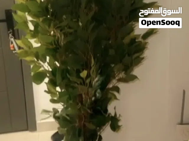 أشجار صناعية