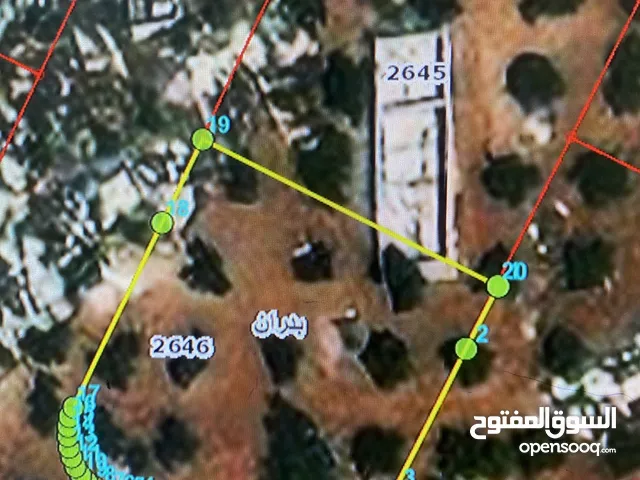 Residential Land for Sale in Amman Shafa Badran