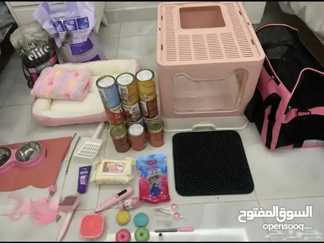 اغراض قطط للبيع جديد وغير مستعمل غير قابل للتفاوض منتج ابرق الرغامة