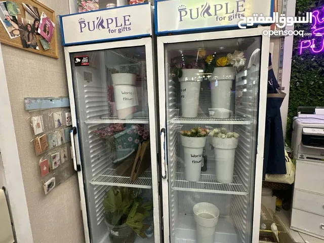 Ugur Refrigerators in Baghdad