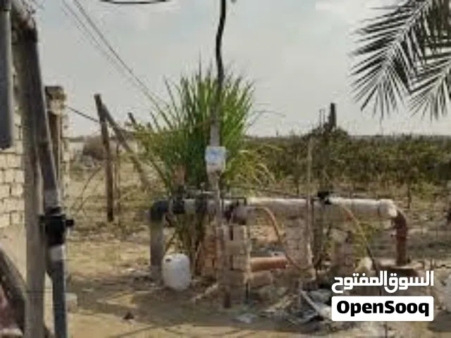 Farm Land for Sale in Giza 6th of October