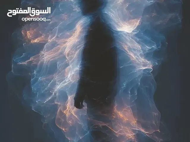 محمد مجدي شاكر جواعدة