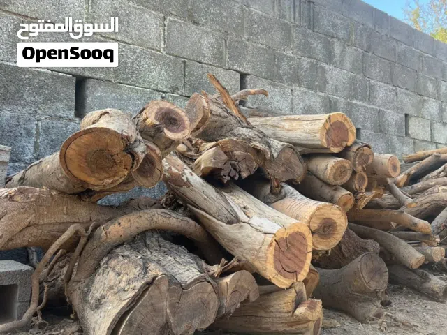 يوجد لدينا حطب سمر للبيع