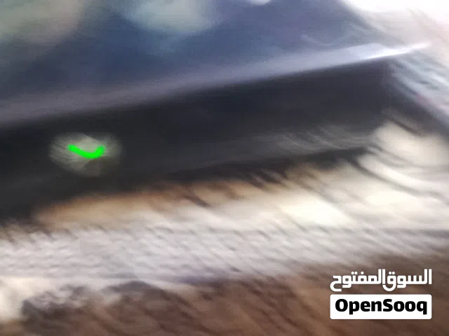 Xbox 360 Xbox for sale in Irbid