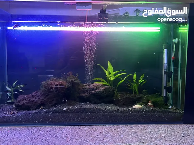 حوض سمك مع فلاتر و اشجار كامل