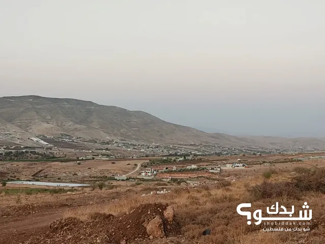 نمر أراضي بالنصارية