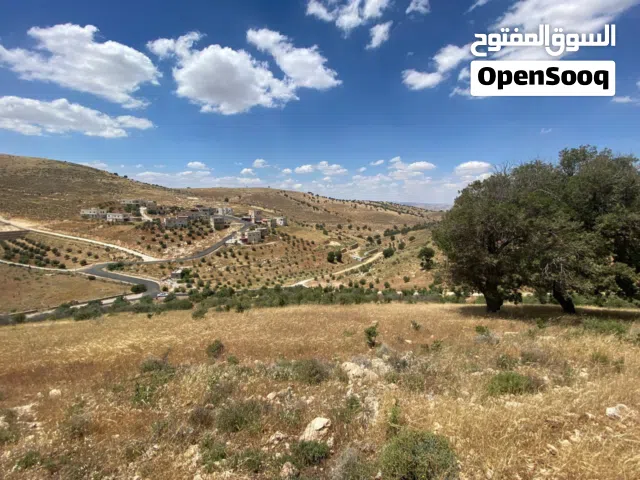 قطعة ارض حد ام رمانه 8 دونمات
