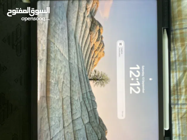 Brand new iPad whith the Apple pencils