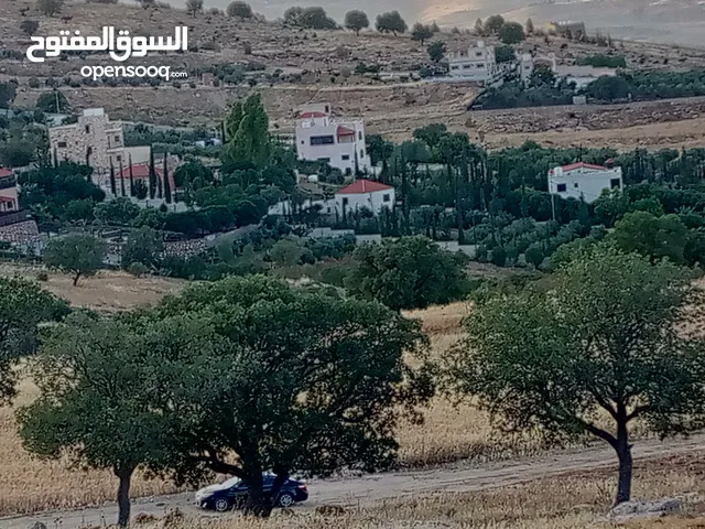 3 دونمات ونصف فيها شجر بلوط معمر مرتفعة تراب حمراء  