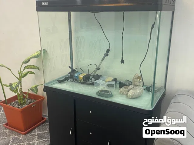 للبيع حوض سمك كبير ونظيف