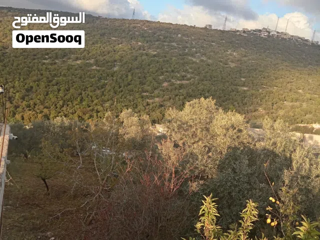 منزل للبيع في قرية الطيارة-عجلون