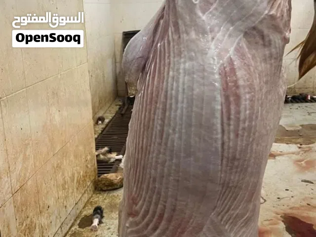 لحام منزلي الزرقاء عمان