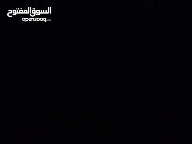 مطلوب كلب للتبني يلي عندو لا يبخل علينا