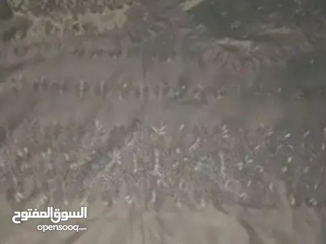 مفرش سرير حرير