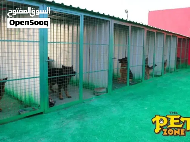 فندق الكلاب
أجنحة مريحة وآمنة